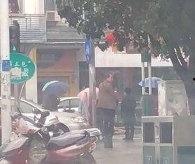 中山車禍最新爆料視頻播放,視頻揭示驚人細節，事故真相再引熱議